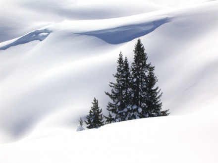 snoenkjem